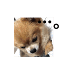 あぶりさーもんですね（個別スタンプ：22）