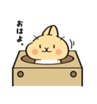 いとしのうさちゃんスタンプ（個別スタンプ：17）