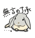ホーランドロップのアメリ（個別スタンプ：5）