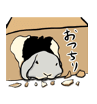 ホーランドロップのアメリ（個別スタンプ：9）