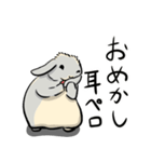 ホーランドロップのアメリ（個別スタンプ：12）