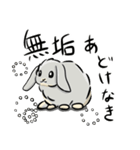 ホーランドロップのアメリ（個別スタンプ：14）