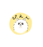 ぽめらにゃん3（個別スタンプ：4）