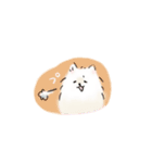 ぽめらにゃん3（個別スタンプ：5）