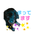 わんこおはなのスタンプ2（個別スタンプ：9）