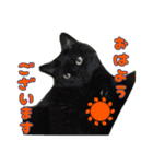 猫野家すたんぷ【日常編】（個別スタンプ：1）
