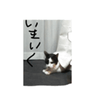 いごちゃん（個別スタンプ：8）