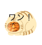 おじいちゃんのスタンプでふ（個別スタンプ：5）