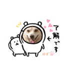 かまってゆずちゃん（個別スタンプ：3）