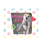 かまってゆずちゃん（個別スタンプ：4）