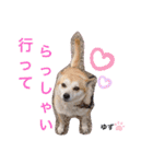 かまってゆずちゃん（個別スタンプ：6）