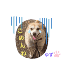 かまってゆずちゃん（個別スタンプ：9）