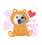 かまってゆずちゃん（個別スタンプ：13）
