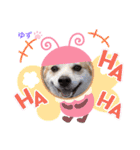 かまってゆずちゃん（個別スタンプ：14）
