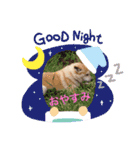 かまってゆずちゃん（個別スタンプ：16）