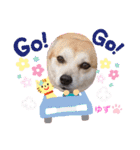 かまってゆずちゃん（個別スタンプ：18）