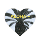 ALOHAがいっぱい！12  HAPPYな言葉（個別スタンプ：5）