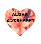 ALOHAがいっぱい！12  HAPPYな言葉（個別スタンプ：14）