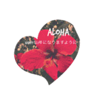 ALOHAがいっぱい！12  HAPPYな言葉（個別スタンプ：18）