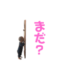 ひろりんぱんぱん（個別スタンプ：11）