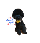 犬たちの暮らし（個別スタンプ：2）