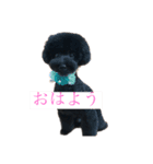 犬たちの暮らし（個別スタンプ：5）