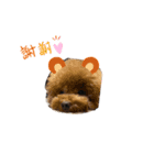 犬たちの暮らし（個別スタンプ：6）