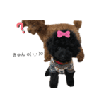 犬たちの暮らし（個別スタンプ：8）