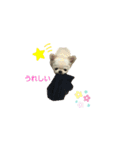 チワワのテンくん（個別スタンプ：3）