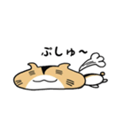 のほハム（個別スタンプ：5）