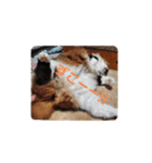 愛猫柚子のスタンプです2（個別スタンプ：6）