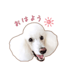 ☆ 表情豊かな Sarahちゃん ☆（個別スタンプ：1）