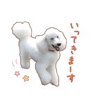 ☆ 表情豊かな Sarahちゃん ☆（個別スタンプ：3）