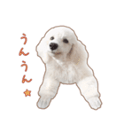 ☆ 表情豊かな Sarahちゃん ☆（個別スタンプ：7）