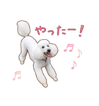 ☆ 表情豊かな Sarahちゃん ☆（個別スタンプ：17）
