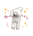 ☆ 表情豊かな Sarahちゃん ☆（個別スタンプ：18）