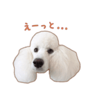 ☆ 表情豊かな Sarahちゃん ☆（個別スタンプ：21）