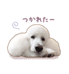 ☆ 表情豊かな Sarahちゃん ☆（個別スタンプ：28）