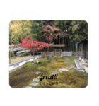 日常会話を 風景写真で〜（個別スタンプ：27）