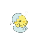 ぴよちの日常（個別スタンプ：1）