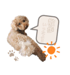 じぇーのらいんすたんぷ（個別スタンプ：1）