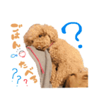 じぇーのらいんすたんぷ（個別スタンプ：2）