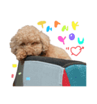じぇーのらいんすたんぷ（個別スタンプ：3）