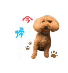 じぇーのらいんすたんぷ（個別スタンプ：13）