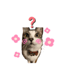 今日のらいくん（個別スタンプ：1）