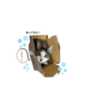 今日のらいくん（個別スタンプ：9）