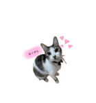 今日のらいくん（個別スタンプ：16）