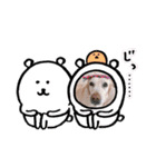 多頭犬種飼いならでは♡（個別スタンプ：10）