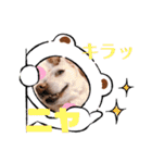 多頭犬種飼いならでは♡（個別スタンプ：23）