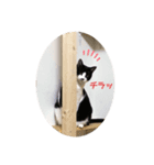 ここみくつきみるちょ（個別スタンプ：2）
